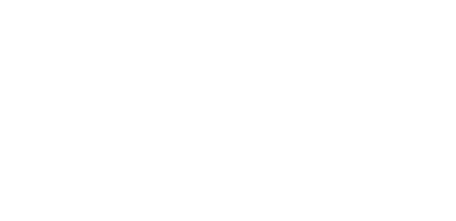 C-MOVE Energia